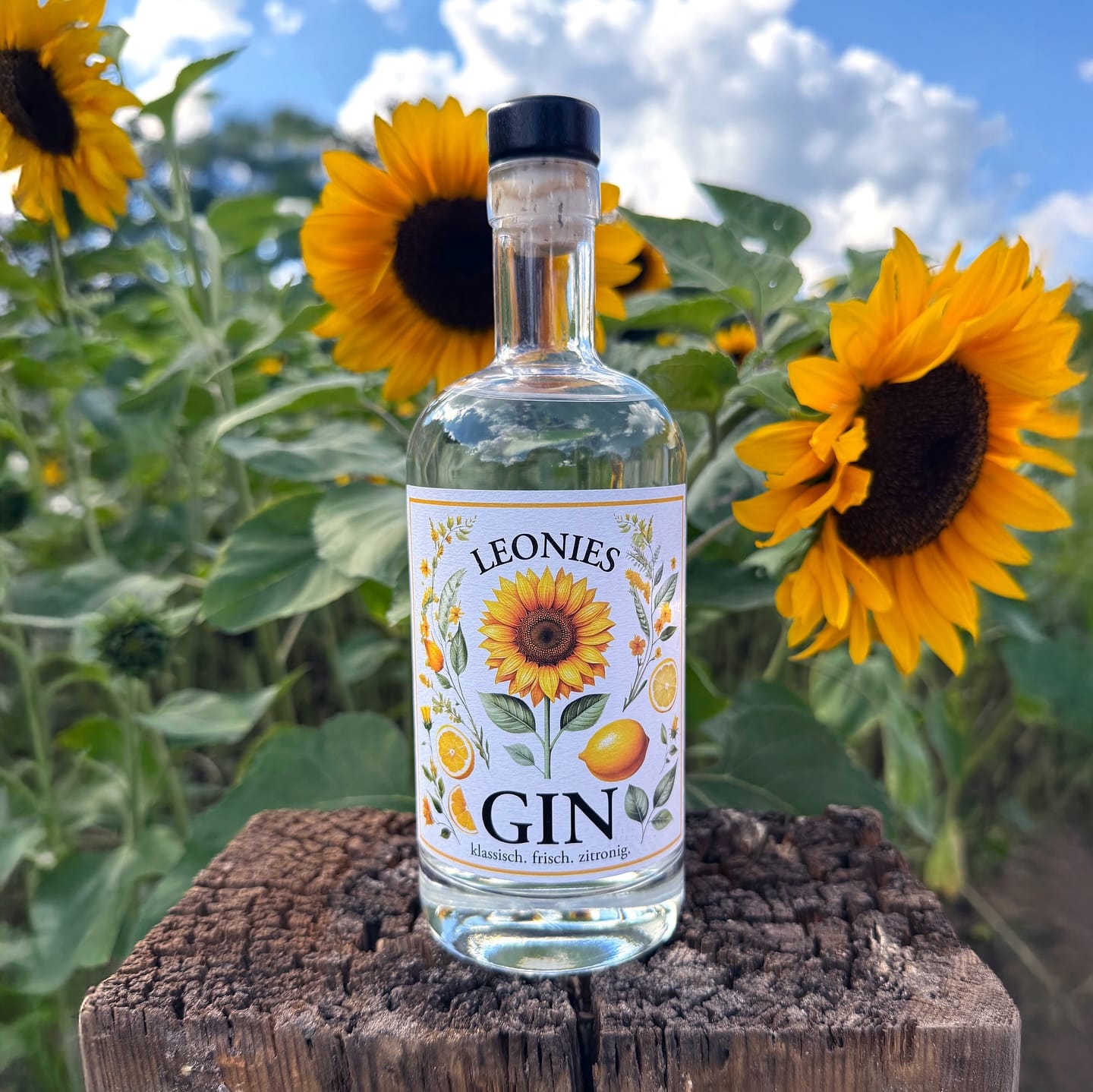 Leonies Gin (🇩🇪) – sommerlicher Genuss mit intensiven Zitrusaromen.
Der @leoniesgin aus Offenbach am Main entstand aus der Idee, einen Gin zu kreieren, der das hervorhebt, was die Gründer besonders lieben: frische Zitrusaromen in ihrer reinsten Form. Der Name „Leonies“ setzt sich aus den Vornamen Leona und Niels zusammen – zwei Menschen, die mit viel Leidenschaft und Feingefühl an diesem Gin arbeiten.
Im geschmacklichen Mittelpunkt des Leonies Gins steht eine harmonische Komposition aus toskanischem Wacholder, Zitronenschale, Zitronengras aus Sri Lanka und feiner Bergamotte aus Süditalien. Die Botanicals werden separat destilliert und anschließend mit Sorgfalt kombiniert. So entsteht ein sommerlicher, erfrischender Genuss mit intensiven Zitrusnoten, leichten floralen Akzenten sowie einem sanften Hauch von Kräutern.
#leoniesgin #sommergin #zitrusgin #drygin #craftgin #gintonic #ginliebe #ginstagram #gintastic #ginfluencer #derginfluencer
[unbezahlte Werbung]