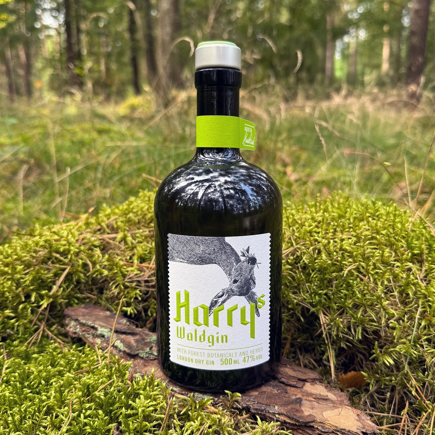 Harrys Waldgin (🇩🇪) - die Seele des Naurather Waldes.
Harrys Waldgin ist das Ergebnis einer einzigartigen Zusammenarbeit zwischen Edelbrenner Hubertus Vallendar (@brennereivallendar) aus Kail in der Eifel und Sternekoch Harald Rüssel (@haraldruessel) von Rüssels Landhaus in Naurath (Wald) bei Trier. Gemeinsam haben sie aus 11 handverlesenen Botanicals aus dem Naurather Wald einen Gin komponiert, der Regionalität, Brennkunst und kreative Raffinesse in sich trägt.
Zu den besonderen Zutaten zählen Zitronenverbene, Süßdolde, wilder Oregano, Schokoladenminze, Rosmarin, Fichtenwipfel, Zitronenbohnenkraut, Schildampfer, Mispel und Naurather Waldhonig – jede Komponente einzeln destilliert und anschließend exquisit vereint. In der Komposition zeigt sich ein Gin mit klarer Wacholderstilistik, geprägt von frischen Zitrusnoten, würzigen Kräutern, belebender Minze und feinen Waldaromen. Ein absoluter Premium-Gin, der den Duft und die Seele des Waldes in sich trägt.
#harryswaldgin #vallendar #brennereivallendar #haraldrüssel #waldgin #eifelgin #gin #gintasting #ginempfehlung #ginlover #ginfluencer #derginfluencer
[unbezahlte Werbung