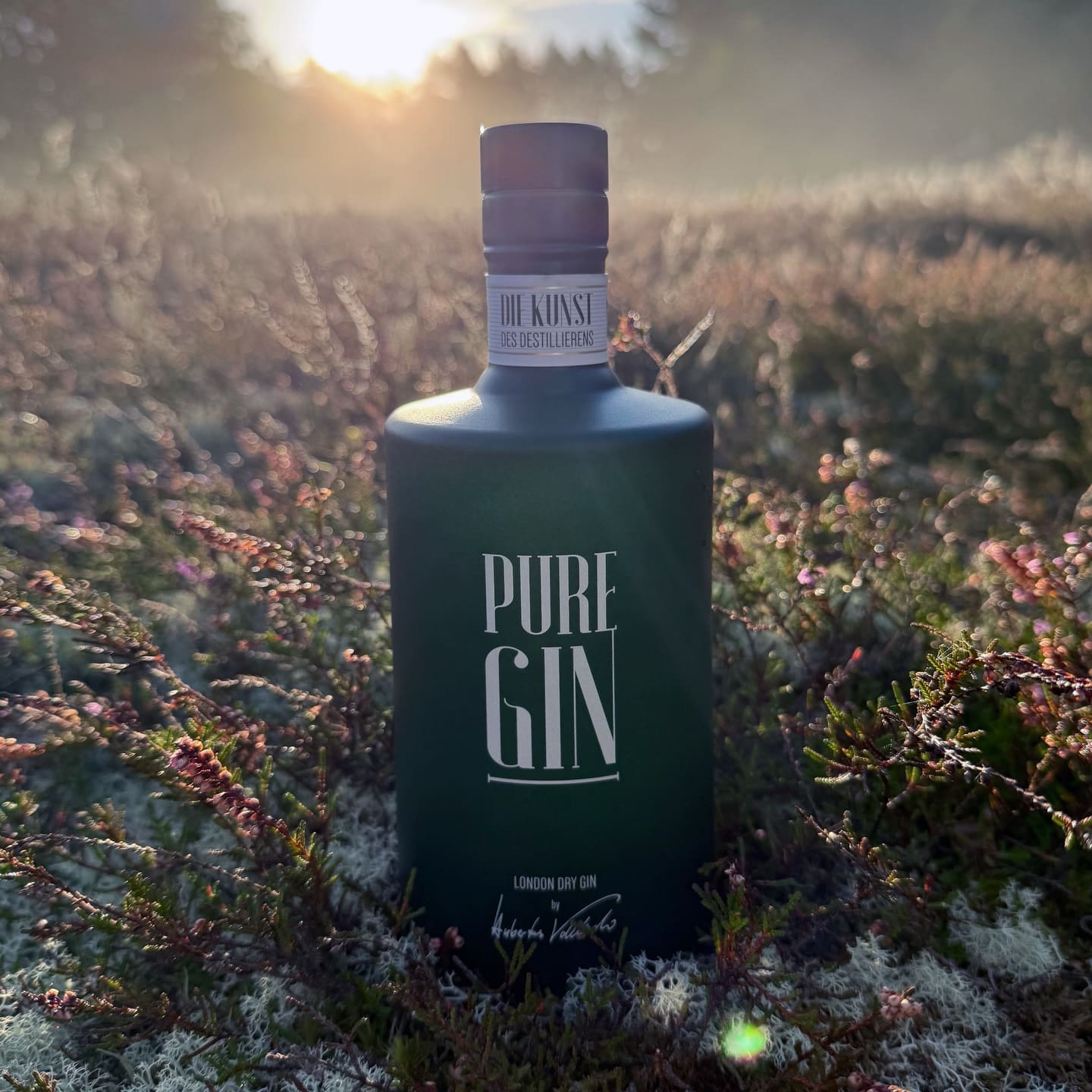 Pure Gin (🇩🇪) - die ausgezeichnete und reine Kunst des Destillierens.
Gin ist für Edelbrenner Hubertus Vallendar der @brennereivallendar weit mehr als eine Spirituose – es ist eine Leidenschaft, die er schon mit seinem Vater teilte. Aus dieser Tradition heraus entstand ein Gin, der kompromisslos puristisch gedacht ist: der Pure Gin. Mehrfach international prämiert – mit Gold und Doppel-Gold bei den World Spirits Awards – steht er für Klarheit und Charakter in höchster Vollendung.
Der Pure Gin vereint bestes Norder Wasser mit handverlesenen Wacholderbeeren aus den Apenninen und einer feinen Auswahl klassischer Botanicals. Angelikawurzel, Koriander, Kardamom, Orange, Zitrone und ein Hauch Süßholz verleihen ihm Tiefe und Eleganz. Ein Destillat, das eindrucksvoll zeigt, wie meisterhafte Handwerkskunst in der Reduktion auf das Wesentliche ihre wahre Vollendung findet.
#puregin #vallendargin #brennereivallender #ginfluencer #derginfluencer
[unbezahlte Werbung]