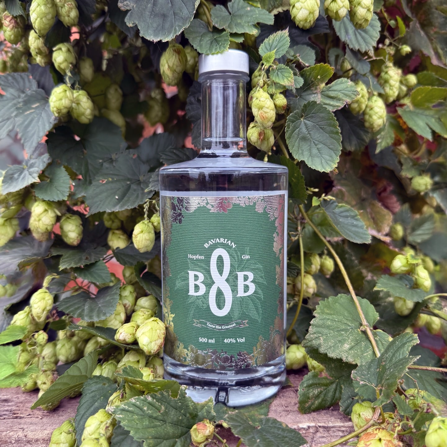 B8B Hopfen Gin (🇩🇪) - eine einzigartige bayerische Liaison.
Mit Hingabe und handwerklicher Präzision stellt @beightb in Feldkirchen bei München eine Reihe außergewöhnlicher Gin-Kreationen her, die oft regionale Bezüge zu ihrer Heimat aufweisen. Der B8B Hopfen Gin ist dabei eine besondere Hommage an die bayerische Biertradition. Durch die Verwendung von hochwertigem Hopfen aus der Region, der dort traditionell zum Bierbrauen verwendet wird, bringt dieser Gin ein Stück bayerisches Erbe in jede Flasche.
Der B8B Hopfen Gin vereint dabei natürlichen Hopfen mit klassischen Wacholderbeeren und wird durch frische Mandarinen, Minze und naturreinen Honig harmonisch abgerundet. Dadurch entsteht eine facettenreiche Komposition mit vollmundigem Charakter und feiner Eleganz. Ein Gin, der Tradition, Heimatliebe und Innovation auf einzigartige Weise vereint.
#b8bhopfengin #b8bgin #beightb #ginfluencer #derginfluencer
[unbezahlte Werbung]