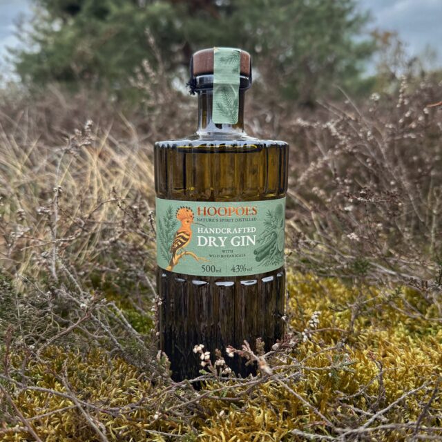 Hoopoes Gin (🇩🇪) - die stille Kraft der Lausitzer Heidelandschaft.
Der Gin von @hoopoes.spirits stammt aus Dobra, einem kleinen Ortsteil der Kurstadt Bad Liebenwerda im Süden Brandenburgs. Eingebettet in den Naturpark „Niederlausitzer Heidelandschaft“, zwischen Kiefernwäldern, offenen Heideflächen und stillen Seen, entsteht hier ein Destillat, das seine Herkunft nicht versteckt, sondern bewusst in den Mittelpunkt stellt. Die Region, geprägt von weiter Landschaft, klarer Luft und seltener Tierwelt – wie dem Wiedehopf (englisch: Hoopoe) – verleiht ihm seinen unverwechselbaren, naturverbundenen Charakter.
Geschmacklich zeigt sich der Gin klar, harmonisch und vielschichtig. Regionale Botanicals wie Hagebutte, Berberitze und Löwenzahn verleihen ihm eine feine, natürliche Würze und eine sanfte Fruchtigkeit. Kräuterige Noten und waldige Anklänge von Heidekraut und Fichtensprossen verbinden sich zu einem ruhigen, ausgewogenen Gesamtbild, das an einen Spaziergang durch Heide und Nadelwald erinnert – authentisch, unaufgeregt und voller Tiefe.
#hoopoesgin #hoopoes #heidegin #ginfluencer #derginfluencer
[unbezahlte Werbung]