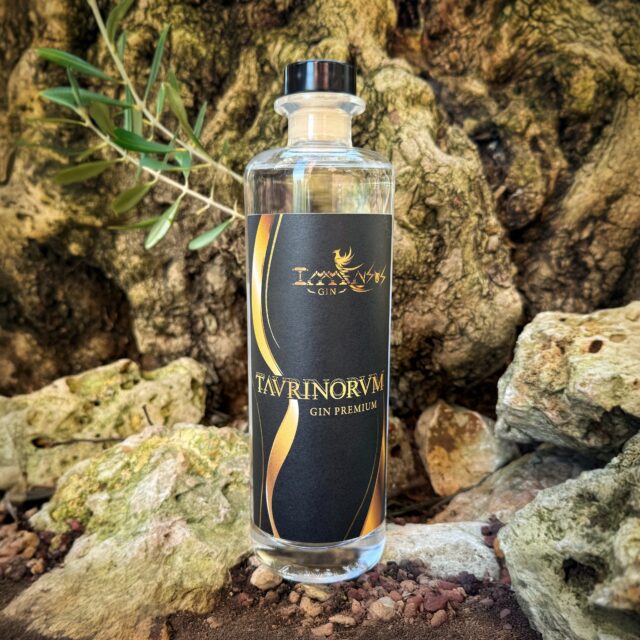 Immensus Gin Taurinorum (🇮🇹) - der kraftvolle Atem Turiner Nächte.
Der @immensusgin Taurinorum wird in Villarbasse nahe Turin hergestellt und trägt die Atmosphäre der piemontesischen Metropole in sich. Sein Name bedeutet auf Latein „der Turiner“ – eine Anlehnung an das historische Erbe der Stadt. Römische Wurzeln, barocke Eleganz und eine Geschichte zwischen Wissenschaft, Industrie und verborgener Mystik prägen dabei ebenso sein Bild wie monumentale Architektur, stille Innenhöfe und lange Nächte.
Geschmacklich zeigt sich Taurinorum intensiv, warm und vielschichtig. Würzige Noten geben die Richtung vor, begleitet von der herben Frische der Laraha-Orange und der aromatischen Tiefe von Zimt. Wacholder bleibt dennoch klar erkennbar und verleiht dem Gesamtbild Struktur. So entsteht eine kraftvolle, ruhige Komposition mit spürbarer Tiefe und nachhaltigem Eindruck – charakterstark, ausdrucksvoll und elegant.
#immensusgin #taurinorum #immensusgintaurinorum #ginfluencer #derginfluencer
[unbezahlte Werbung]