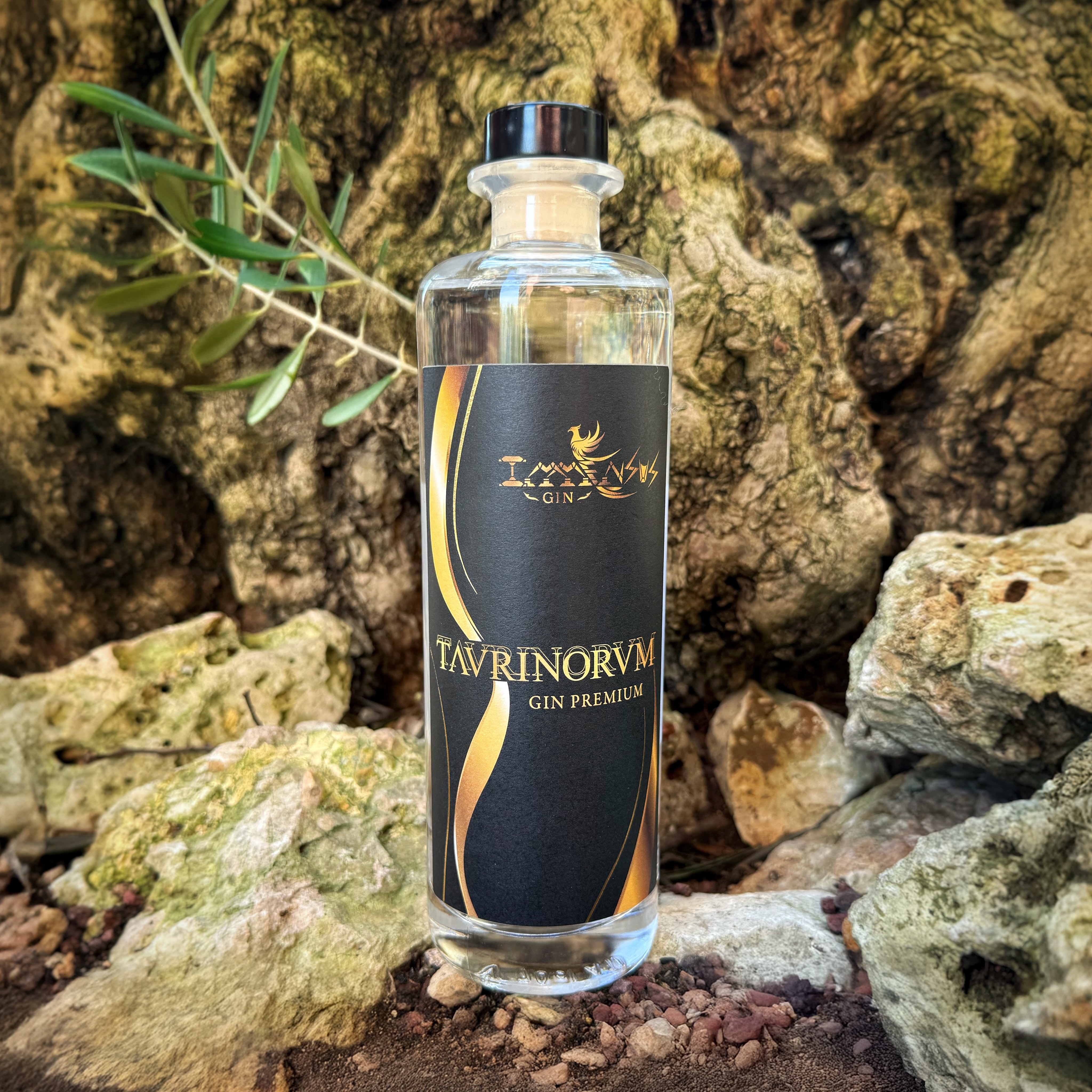 Immensus Gin Taurinorum (🇮🇹) - der kraftvolle Atem Turiner Nächte.
Der @immensusgin Taurinorum wird in Villarbasse nahe Turin hergestellt und trägt die Atmosphäre der piemontesischen Metropole in sich. Sein Name bedeutet auf Latein „der Turiner“ – eine Anlehnung an das historische Erbe der Stadt. Römische Wurzeln, barocke Eleganz und eine Geschichte zwischen Wissenschaft, Industrie und verborgener Mystik prägen dabei ebenso sein Bild wie monumentale Architektur, stille Innenhöfe und lange Nächte.
Geschmacklich zeigt sich Taurinorum intensiv, warm und vielschichtig. Würzige Noten geben die Richtung vor, begleitet von der herben Frische der Laraha-Orange und der aromatischen Tiefe von Zimt. Wacholder bleibt dennoch klar erkennbar und verleiht dem Gesamtbild Struktur. So entsteht eine kraftvolle, ruhige Komposition mit spürbarer Tiefe und nachhaltigem Eindruck – charakterstark, ausdrucksvoll und elegant.
#immensusgin #taurinorum #immensusgintaurinorum #ginfluencer #derginfluencer
[unbezahlte Werbung]