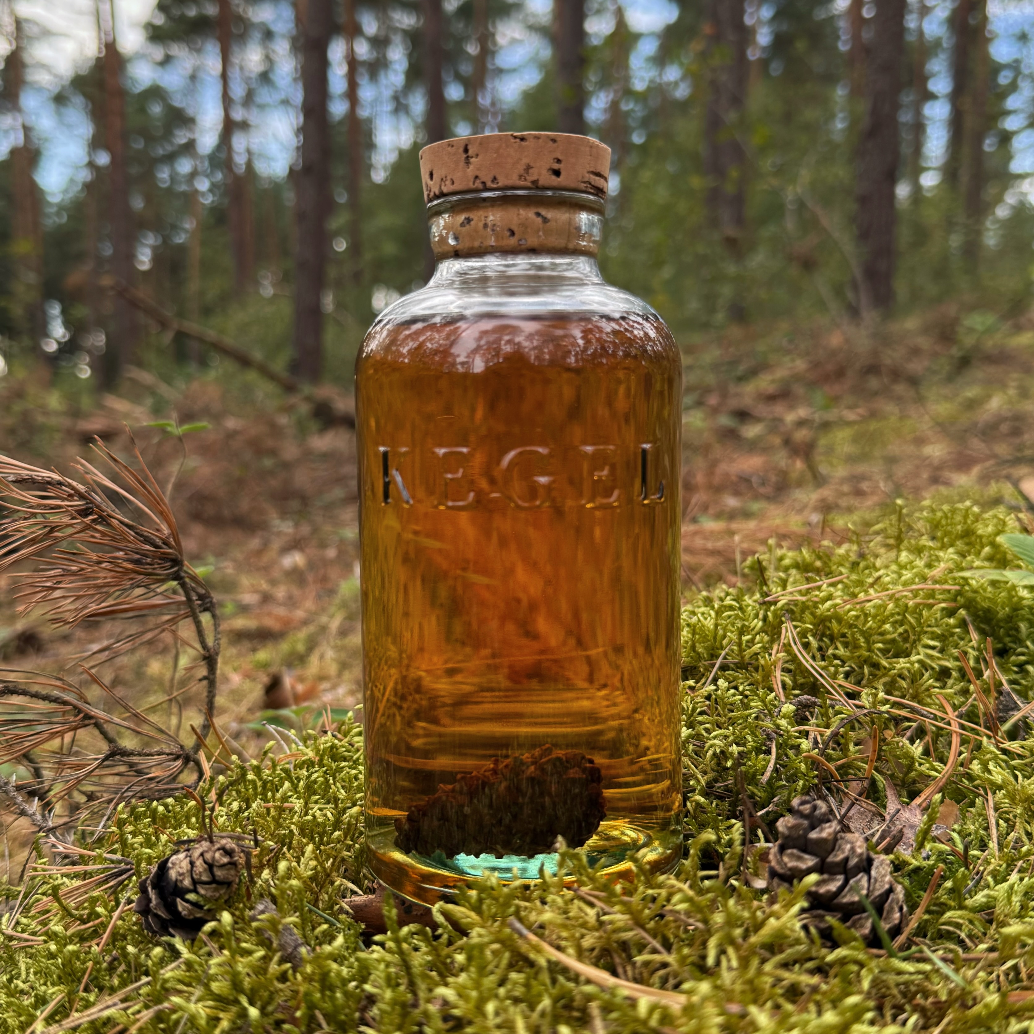 Kegel Gin (Pinecone) (🇳🇱) - die aromatische Essenz des Kiefernwaldes.
Die Geschichte des Pinecone Gins von @kegelspirits beginnt in den Wäldern der niederländischen Veluwe. Die dort von Hand gesammelten und namensgebenden Kiefernzapfen werden in einer historischen Samendarre getrocknet, um ihre Samen für die Aufforstung zu gewinnen. Die anschließend leeren Zapfen werden nicht entsorgt, sondern bilden die Grundlage dieses Gins.
Gemeinsam mit wild gesammelten Kräutern werden die Kiefernzapfen in einer holzbefeuerten Kupferbrennblase destilliert. So entsteht ein außergewöhnlicher Bio-Gin, der die Aromen des Waldes mit feiner Süße und einem angenehm herben Charakter verbindet. Und auch in der Flasche bleibt sein wichtigstes Botanical präsent: Ein echter Kiefernzapfen macht jede Flasche optisch unverwechselbar.
#kegelgin #kegelspirits #kegelginpinecone #ginfluencer #derginfluencer
[unbezahlte Werbung]